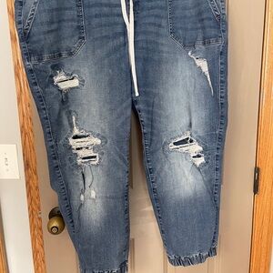 Lane Bryant Pull On Jogger Jean